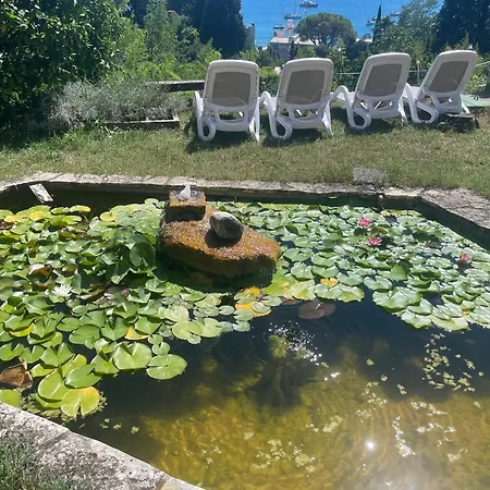 Iris Apartman Portoroz